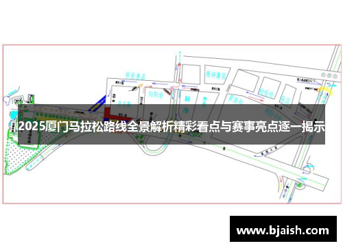 2025厦门马拉松路线全景解析精彩看点与赛事亮点逐一揭示