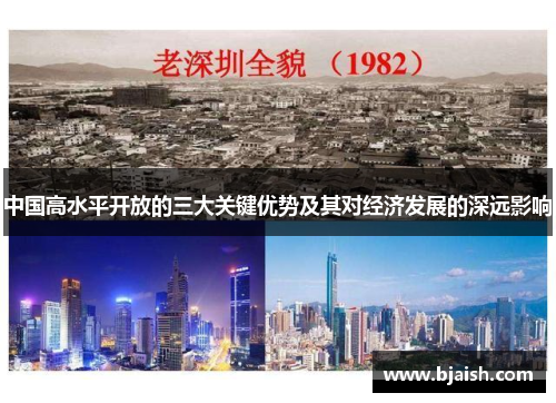 中国高水平开放的三大关键优势及其对经济发展的深远影响