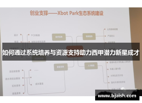 如何通过系统培养与资源支持助力西甲潜力新星成才